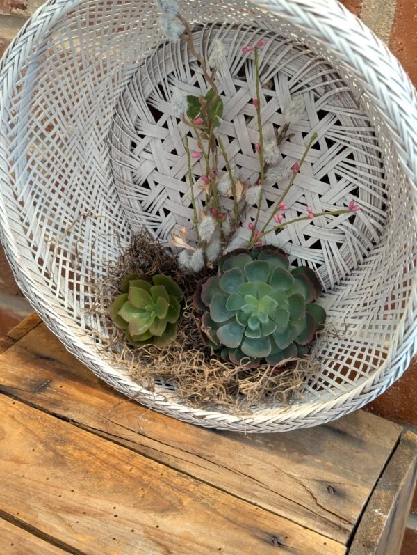 Boho Faux Succulent Basket Wreath Wall Art