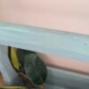 Modern Farmhouse Painted Wood Caddy