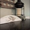 Arched Wood Shelf Sitter with Flying Bird